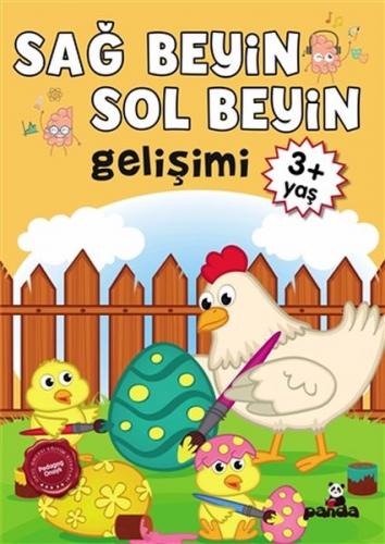 Kurye Kitabevi - 3 Yaş Sağ Beyin-Sol Beyin Gelişimi