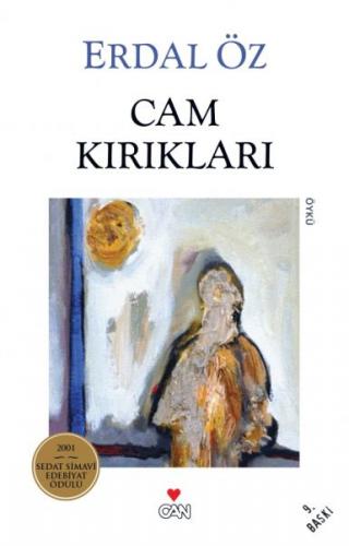 Kurye Kitabevi - Cam Kırıkları