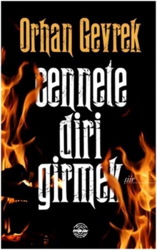 Kurye Kitabevi - Cennete Diri Girmek