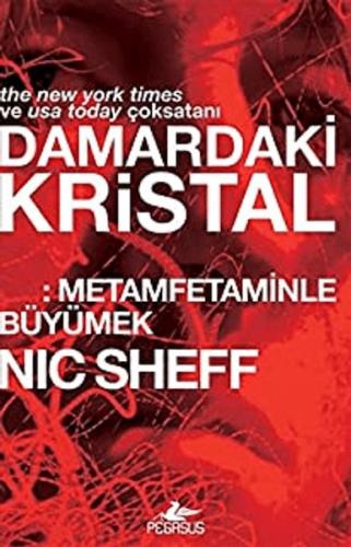 Kurye Kitabevi - Damardaki Kristal: Metamfetaminle Büyümek