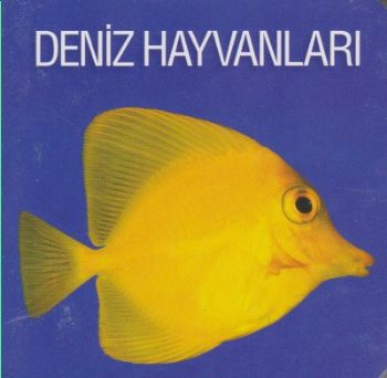 Kurye Kitabevi - Deniz Hayvanları