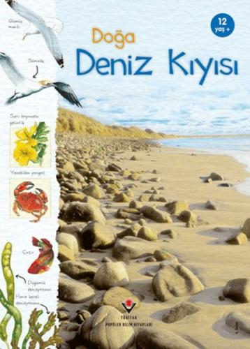 Kurye Kitabevi - Doğa: Deniz Kıyısı