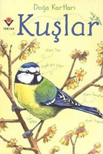 Kurye Kitabevi - Doğa Kartları Kuşlar