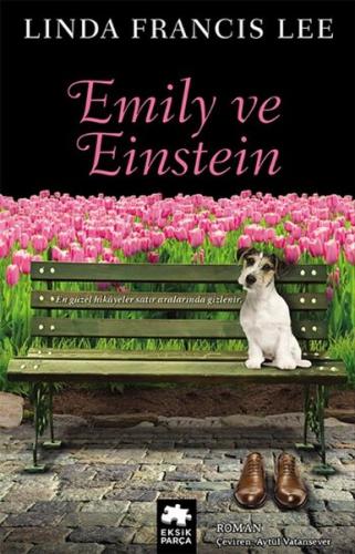 Kurye Kitabevi - Emily ve Einstein