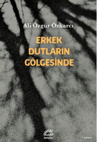 Kurye Kitabevi - Erkek Dutların Gölgesinde