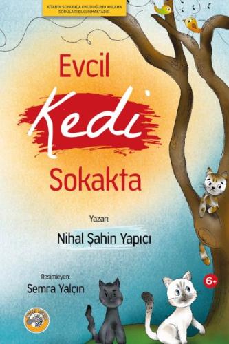 Kurye Kitabevi - Evcil Kedi Sokakta