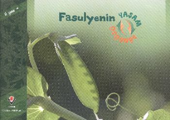 Kurye Kitabevi - Fasulyenin Yaşam Döngüsü