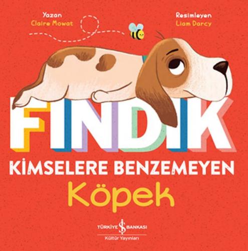 Kurye Kitabevi - Fındık Kimselere Benzemeyen Köpek