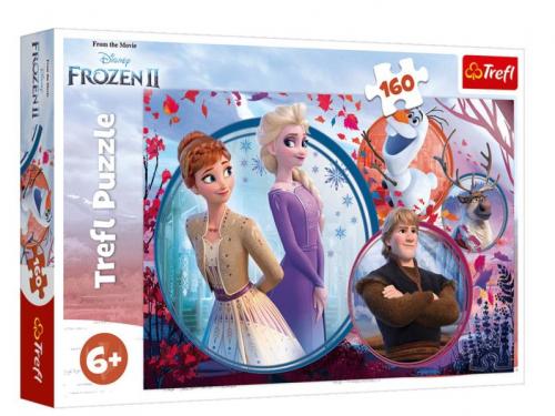 Kurye Kitabevi - Frozen II 15374 (160 Parça)