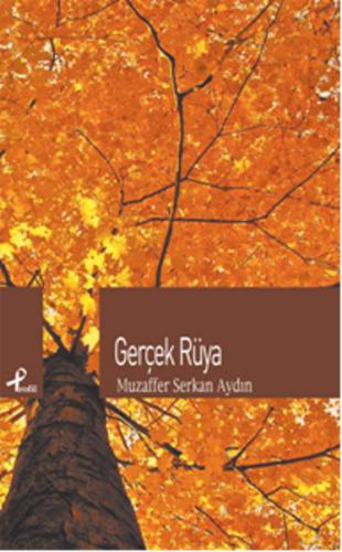 Kurye Kitabevi - Gerçek Rüya