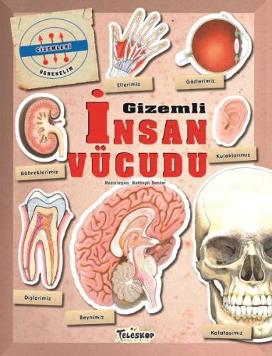 Kurye Kitabevi - Gizemleri Öğrenelim - Gizemli İnsan Vücudu