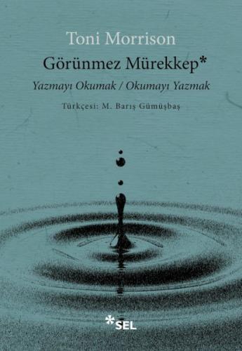 Kurye Kitabevi - Görünmez Mürekkep: Yazmayı Okumak / Okumayı Yazmak