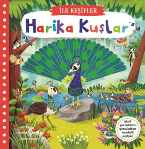 Kurye Kitabevi - Hareketli Harika Kuşlar İlk Keşifler