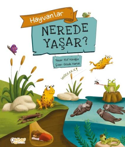 Kurye Kitabevi - Hayvanlar Nerede Yaşar ?