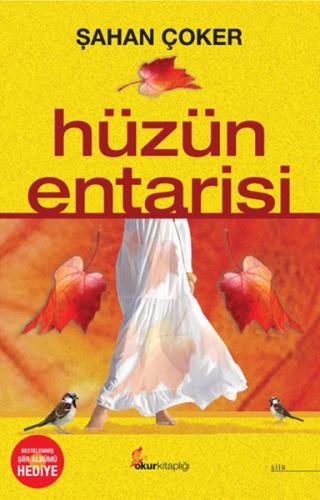 Kurye Kitabevi - Hüzün Entarisi