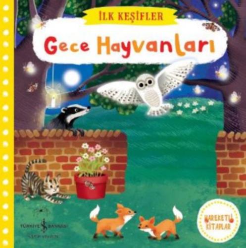 Kurye Kitabevi - Gece Hayvanları - İlk Keşifler