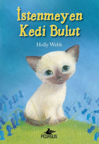 Kurye Kitabevi - İstenmeyen Kedi Bulut