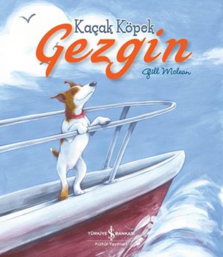 Kurye Kitabevi - Kaçak Köpek Gezgin