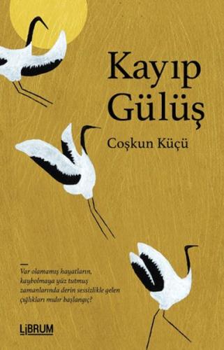 Kurye Kitabevi - Kayıp Gülüş