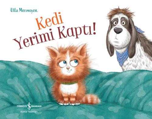 Kurye Kitabevi - Kedi Yerimi Kaptı!