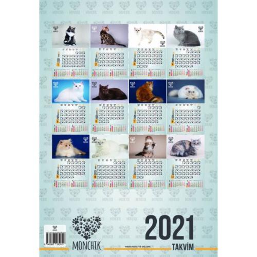 Kurye Kitabevi - Kedili Aylık Spiralli Duvar Takvimi 2021