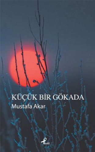 Kurye Kitabevi - Küçük Bir Gökada