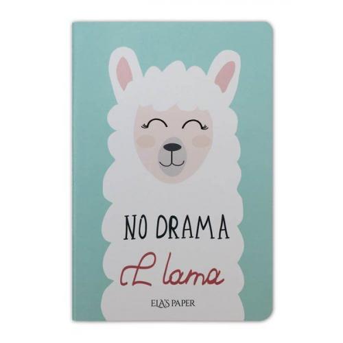 Kurye Kitabevi - Lama Notebook Su Yeşili Defter