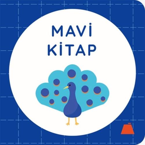 Kurye Kitabevi - Mavi Kitap