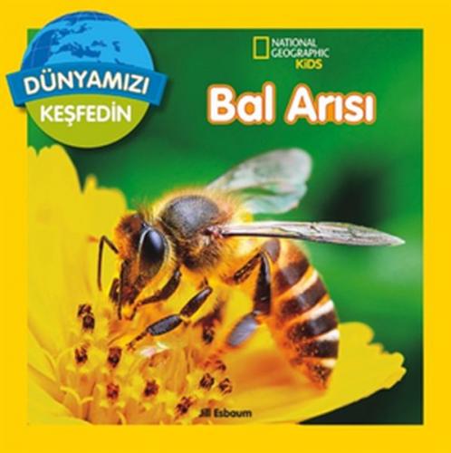 Kurye Kitabevi - Dünyamızı Keşfedin Bal Arısı