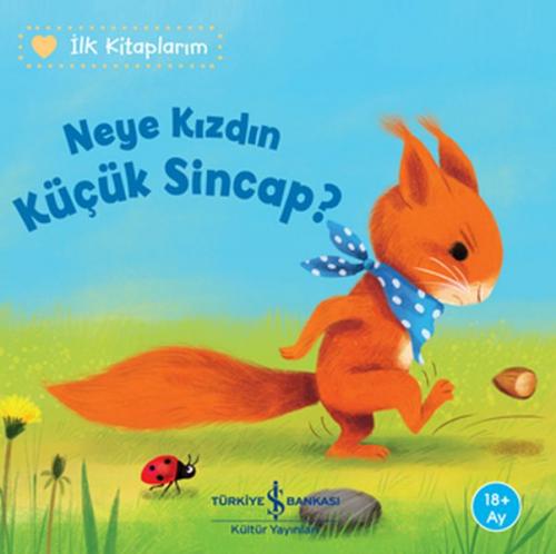 Kurye Kitabevi - Neye Kızdın Küçük Sincap