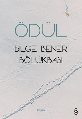 Kurye Kitabevi - Ödül