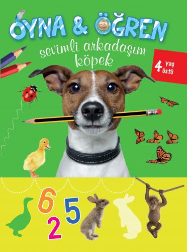 Kurye Kitabevi - Oyna-Öğren Sevimli Arkadaşım Köpek 4 Yaş Üstü