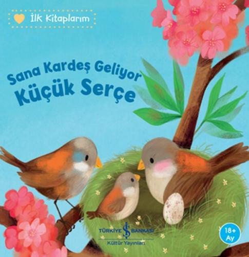 Kurye Kitabevi - Sana Kardes Geliyor Küçük Serçe - Ilk Kitaplarim