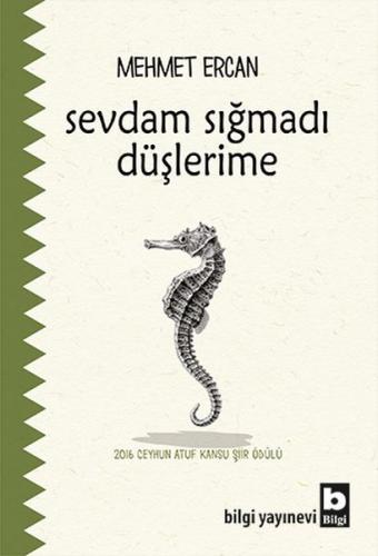 Kurye Kitabevi - Sevdam Sığmadı Düşlerime