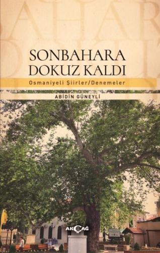 Kurye Kitabevi - Sonbahara Dokuz Kaldı