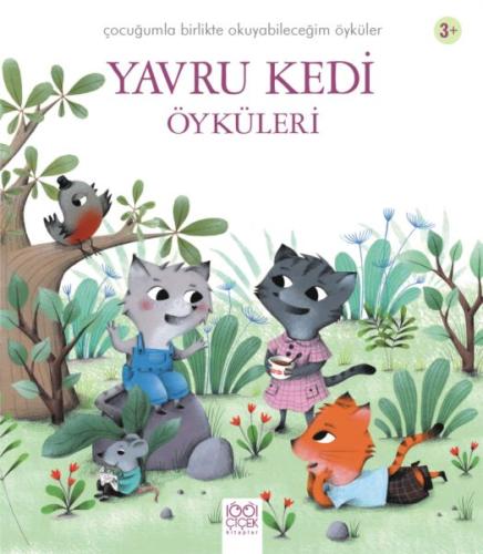 Kurye Kitabevi - Yavru Kedi Öyküleri