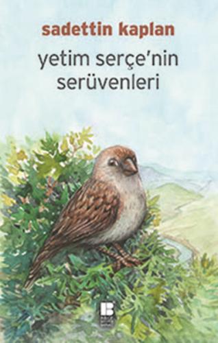 Kurye Kitabevi - Yetim Serçenin Serüvenleri